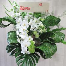 胡蝶蘭の白いスタンド花　